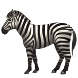 Zebra