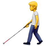 Person With White Cane