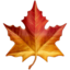 Maple Leaf on Apple