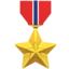 Military Medal on Apple