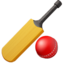 Cricket Game on Apple