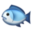 Fish on Apple