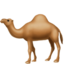 Camel on Apple