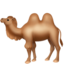 Two-hump Camel on Apple