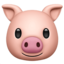 Pig Face on Apple