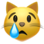 Crying Cat on Apple