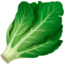 Leafy Green on Apple