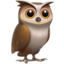 Owl on Apple