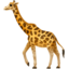 Giraffe on Apple