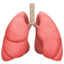Lungs on Apple