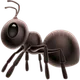 Ant