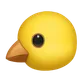 Baby Chick