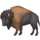 Bison