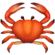 Crab