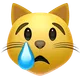 Crying Cat
