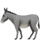 Donkey