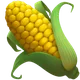 Ear of Corn
