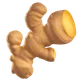 Ginger Root