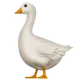 Goose