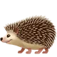 Hedgehog