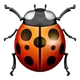 Lady Beetle