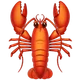 Lobster