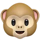 Monkey Face