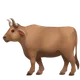 Ox