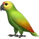 Parrot