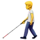 Person with White Cane