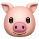 Pig Face