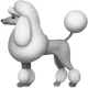 Poodle