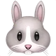 Rabbit Face