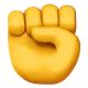 Raised Fist