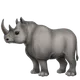 Rhinoceros