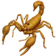 Scorpion