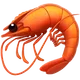 Shrimp