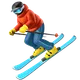 Skier