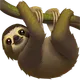 Sloth