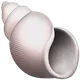 Spiral Shell