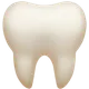Tooth