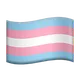 Transgender Flag