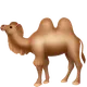 Two-Hump Camel