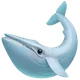 Whale