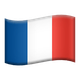 FLAG: FRANCE