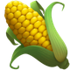 EAR OF CORN