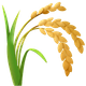 SHEAF OF RICE