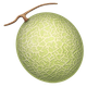 MELON