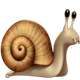 SNAIL