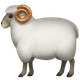 RAM